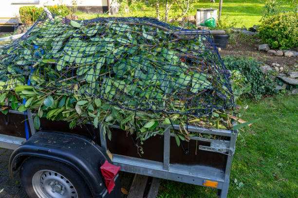 Best Property Management Cleanouts  in Farmingdale, NJ
